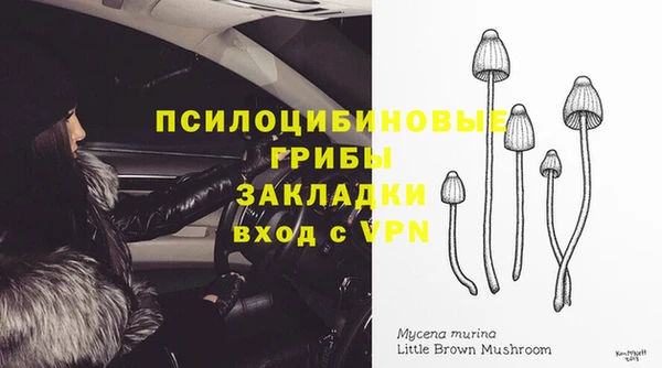 ПСИЛОЦИБИНОВЫЕ ГРИБЫ Бугульма