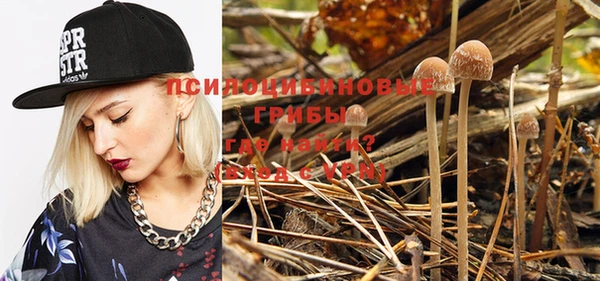 стафф Бородино