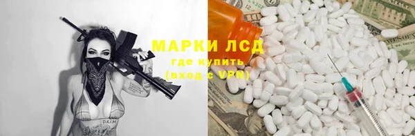 стафф Бородино