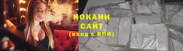 стафф Бородино