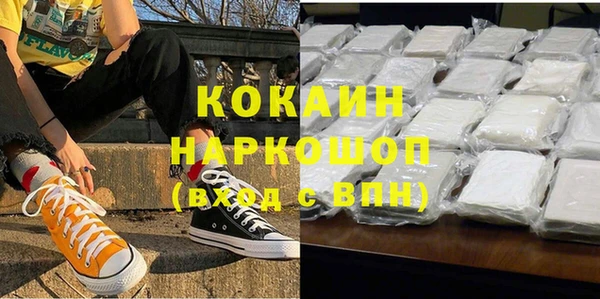 стафф Бородино