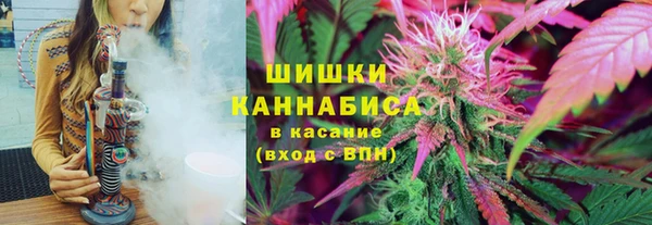ПСИЛОЦИБИНОВЫЕ ГРИБЫ Бугульма