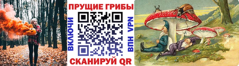 что такое Владимир Галлюциногенные грибы Magic Shrooms