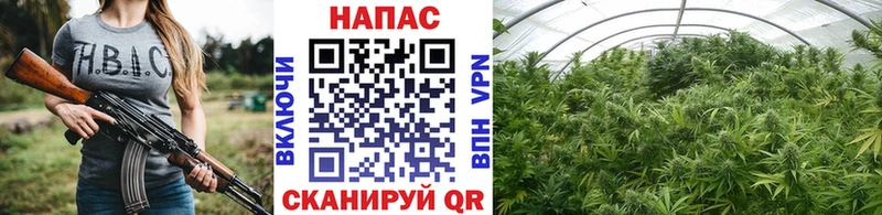 где продают   Владимир  Бошки Шишки AK-47 